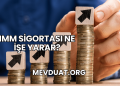 IMM Sigortası Ne İşe Yarar?