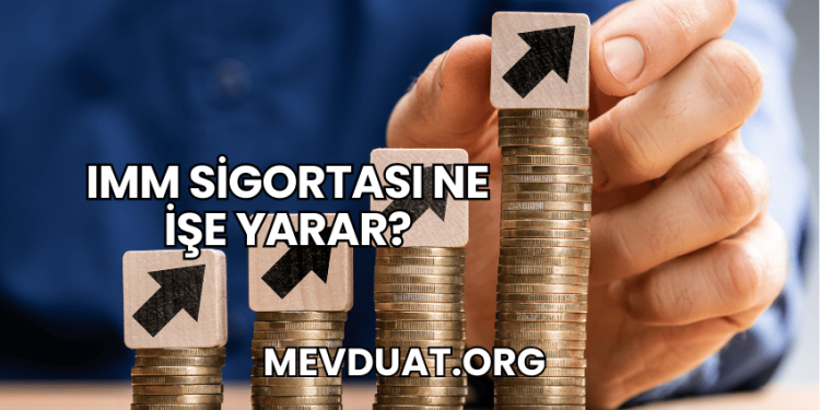 IMM Sigortası Ne İşe Yarar?