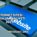 İnternet Sitesi Kurulum Maliyeti 2025