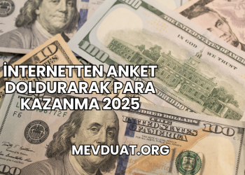 İnternetten Anket Doldurarak Para Kazanma 2025