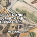 İnternetten Anket Doldurarak Para Kazanma 2025