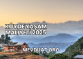 Köyde Yaşam Maliyeti 2025