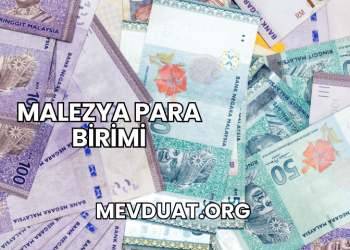 Malezya Para Birimi