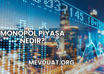 Monopol Piyasa Nedir?