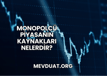 Monopolcü Piyasanın Kaynakları Nelerdir?