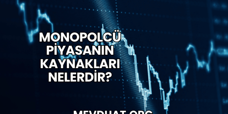 Monopolcü Piyasanın Kaynakları Nelerdir?