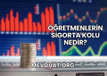 Öğretmenlerin Sigorta Kolu Nedir?