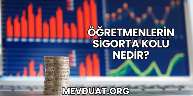 Öğretmenlerin Sigorta Kolu Nedir?
