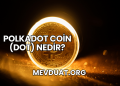 Polkadot Coin (DOT) Nedir?