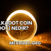 Polkadot Coin (DOT) Nedir?