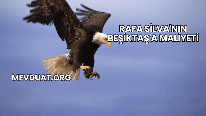 Rafa Silva'nın Beşiktaş'a Maliyeti
