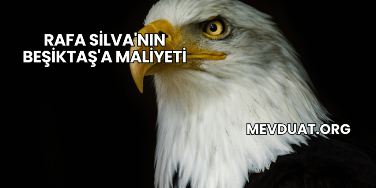 Rafa Silva'nın Beşiktaş'a Maliyeti