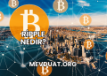 Ripple Nedir?