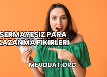 Sermayesiz Para Kazanma Fikirleri