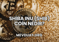 Shiba Inu (SHIB) Coin Nedir?