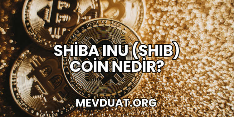 Shiba Inu (SHIB) Coin Nedir?