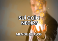 Sui Coin Nedir?