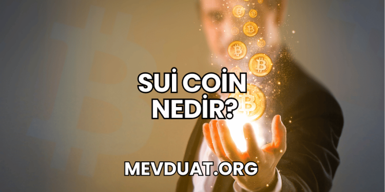 Sui Coin Nedir?