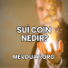 Sui Coin Nedir?
