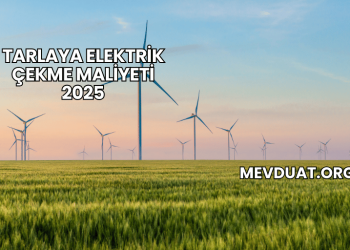 Tarlaya Elektrik Çekme Maliyeti 2025