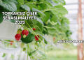 Topraksız Çilek Serası Maliyeti 2025