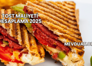 Tost Maliyeti Hesaplama 2025