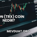 Tron (TRX) Coin Nedir?