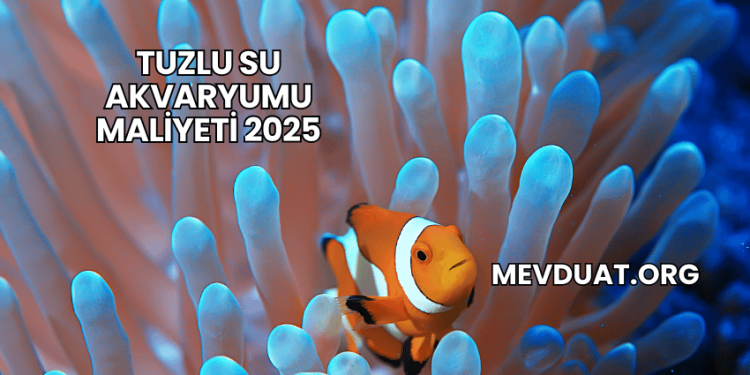 Tuzlu Su Akvaryumu Maliyeti 2025