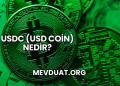 USDC (USD Coin) Nedir?