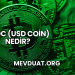 USDC (USD Coin) Nedir?