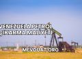 Venezuela Petrol Çıkarma Maliyeti