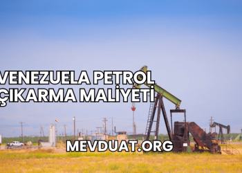 Venezuela Petrol Çıkarma Maliyeti