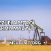 Venezuela Petrol Çıkarma Maliyeti