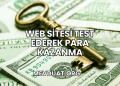 Web Sitesi Test Ederek Para Kazanma