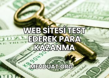 Web Sitesi Test Ederek Para Kazanma
