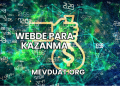 Webde Para Kazanma