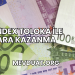 Yandex Toloka ile Para Kazanma