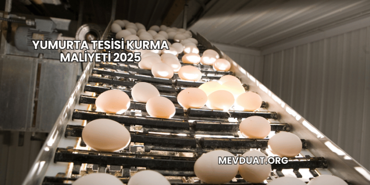 Yumurta Tesisi Kurma Maliyeti 2025