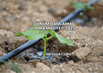 1 Dönüm Damlama Sulama Maliyeti 2025