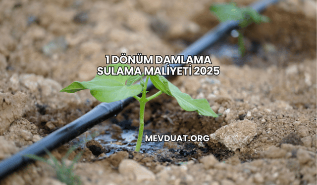 1 Dönüm Damlama Sulama Maliyeti 2025