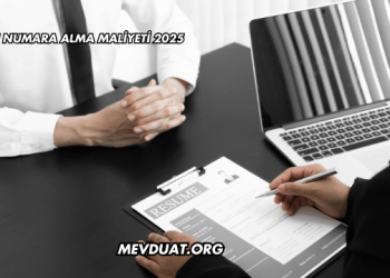 444'lü Numara Alma Maliyeti 2025