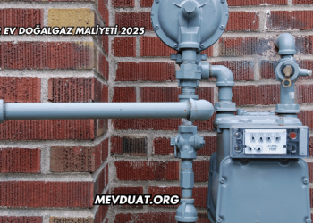 60 m2 Ev Doğalgaz Maliyeti 2025