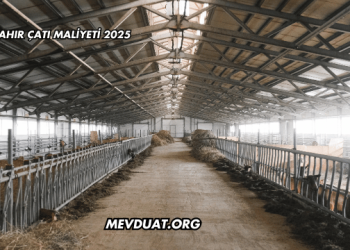 Ahır Çatı Maliyeti 2025