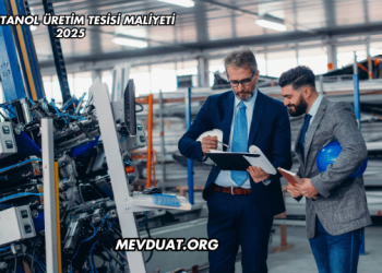 Biyoetanol Üretim Tesisi Maliyeti 2025