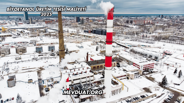 Biyoetanol Üretim Tesisi Maliyeti 2025