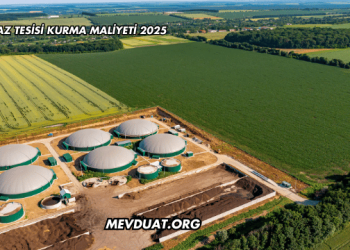 Biyogaz Tesisi Kurma Maliyeti 2025