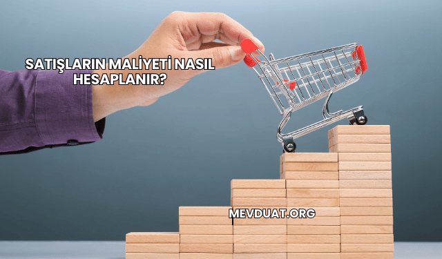 Satışların Maliyeti Nasıl Hesaplanır?