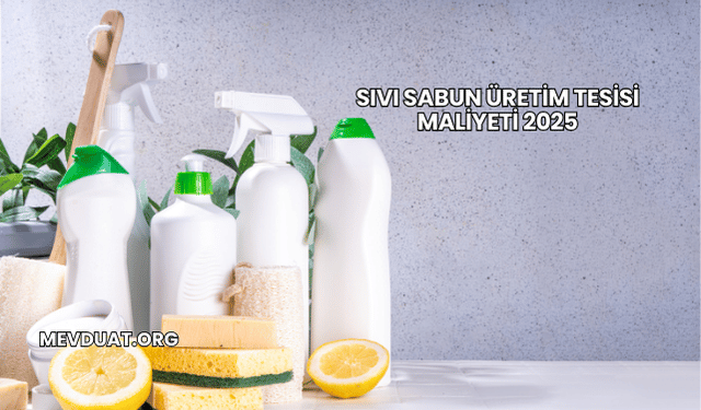 Sıvı Sabun Üretim Tesisi Maliyeti 2025