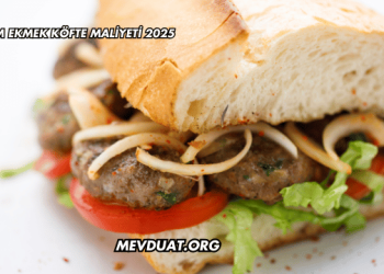 Yarım Ekmek Köfte Maliyeti 2025