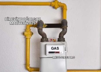 Bir Evin Doğalgaz Maliyeti 2025